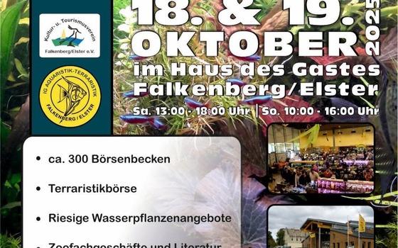 Plakat, Foto: IG Aquaristik-Terraristik Falkenberg/Elster, Lizenz: IG Aquaristik-Terraristik Falkenberg/Elster