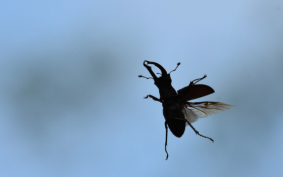 Foto: Nicola Glaser, Lizenz: Nicola Glaser