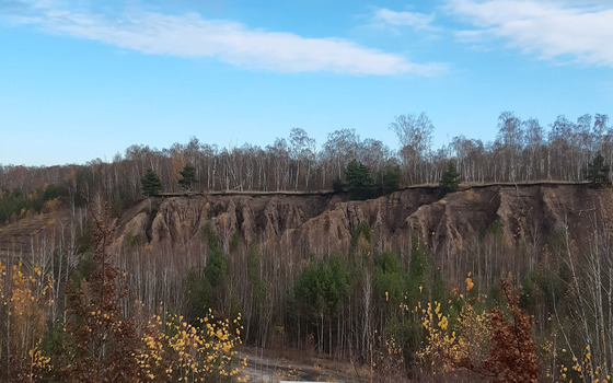 Foto: Susann Nitzsche, Naturwacht Brandenburg im Naturpark Niederlausitzer Heidelandschaft, Lizenz: Susann Nitzsche, Naturwacht Brandenburg im Naturpark Niederlausitzer Heidelandschaft