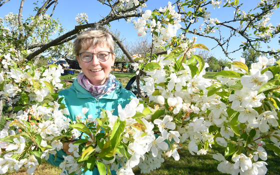Foto: Veit R&ouml;sler, Lizenz: Naturpark Niederlausitzer Heidelandschaft