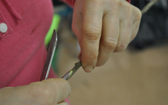 Foto: Andrea Opitz, Lizenz: Andrea Opitz