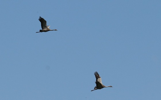 Foto: Cordula Schladitz, Lizenz: Cordula Schladitz