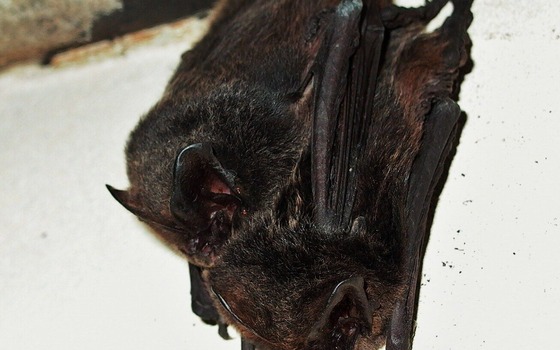 Foto: Maik Korreng, Lizenz: Maik Korreng