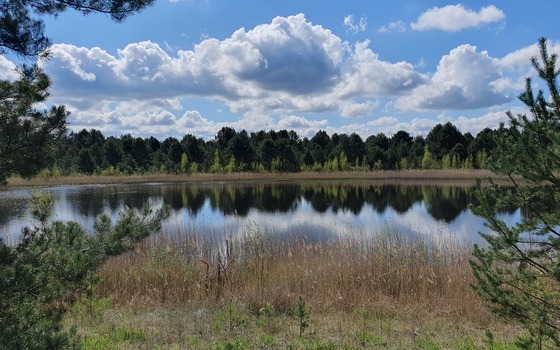 Foto: Stefan R&ouml;hrscheid, Lizenz: Stefan R&ouml;hrscheid