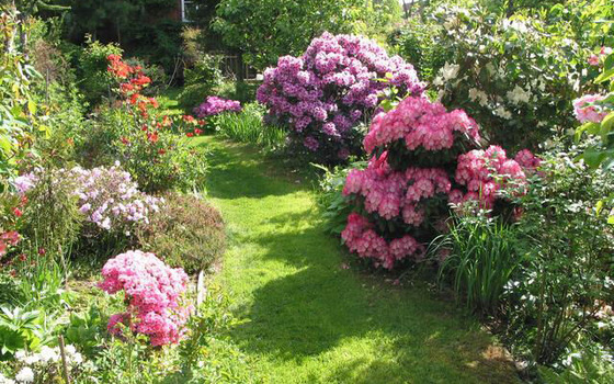 Foto: TVEEL, Lizenz: TVEEL