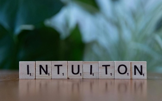 Foto: Pixelbay, Lizenz: Pixelbay