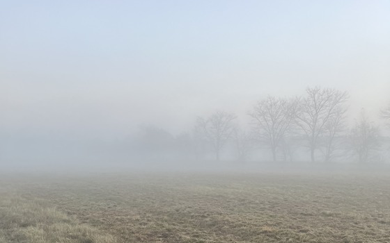 Foto: Susann Nitzsche, Lizenz: Susann Nitzsche