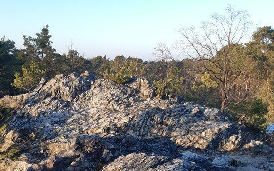 Foto: Susann Nitzsche, Lizenz: Susann Nitzsche, NW NPNLH