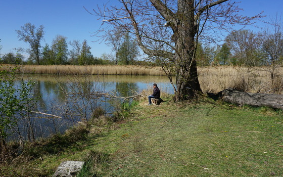 Alter Torfstich, Foto: Kerstin Jahre, Lizenz: Kerstin Jahre